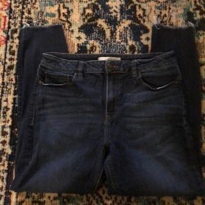 Clara High Rise Skinny Crop